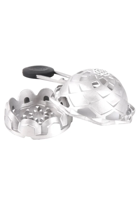 02032024 lotus 7 scaled